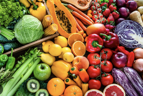 Screenshot 2023-04-17 at 9.43.20 AM